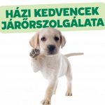 házikedvenc járörszolgálat