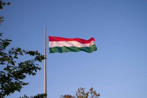 Magyar nemzeti zászló – illusztráció az 1956-os forradalom 70. évfordulójához