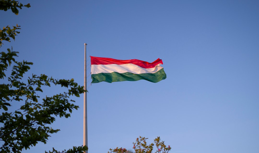Magyar nemzeti zászló – illusztráció az 1956-os forradalom 70. évfordulójához